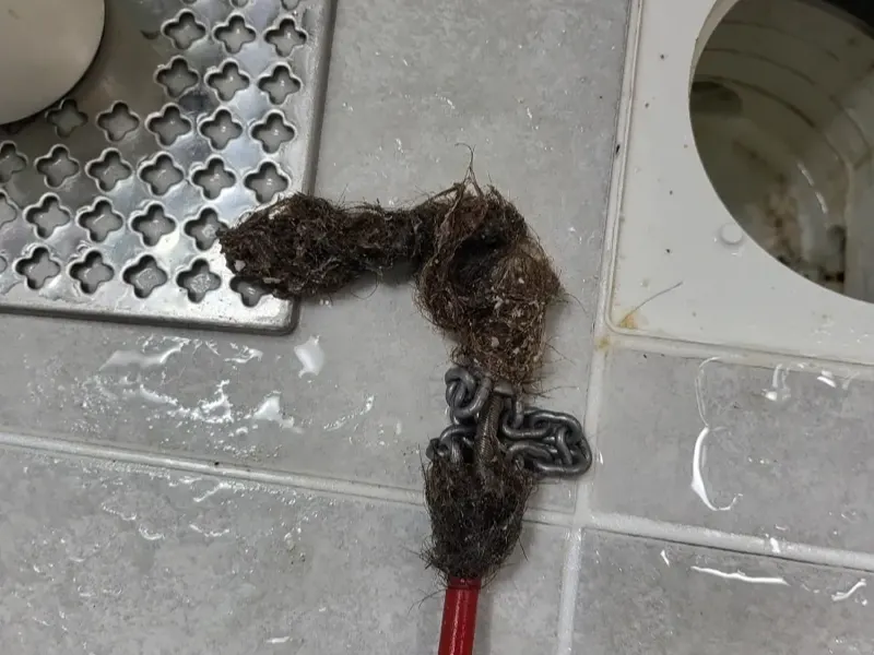 예산 바닥 배수구에서 끌어낸 머리카락 뭉치